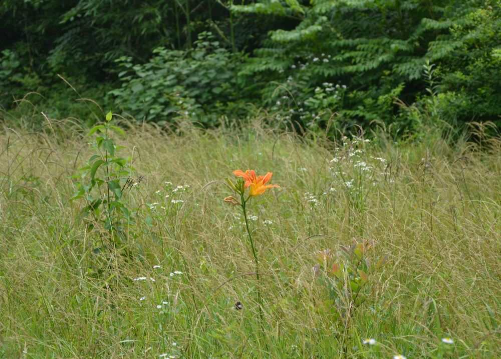 2012.6.3Ů̶105.jpg