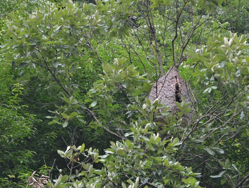 2012.6.3Ů̶125.jpg