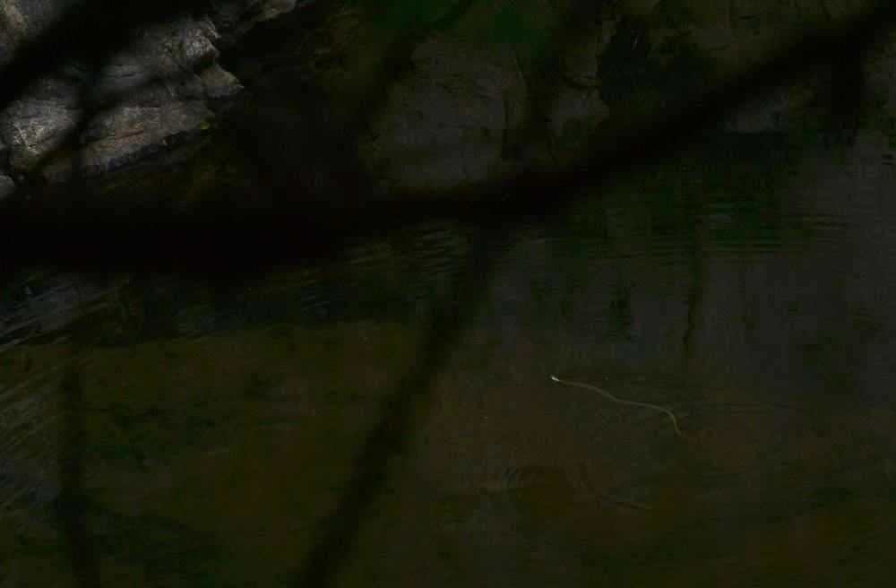 2012.6.3Ů̶178.jpg