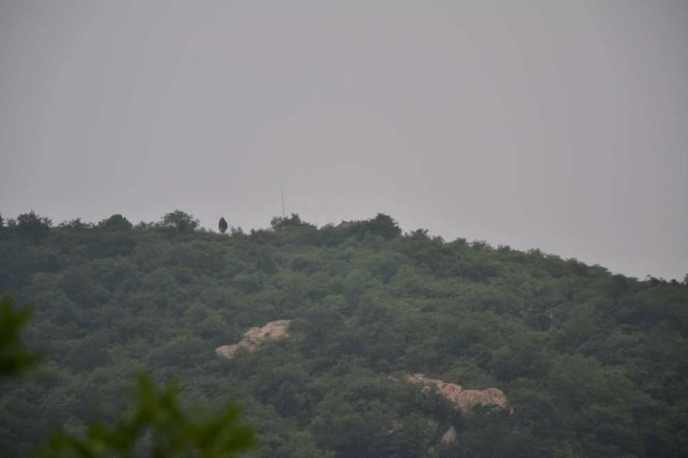 2012.6.3Ů̶182.jpg