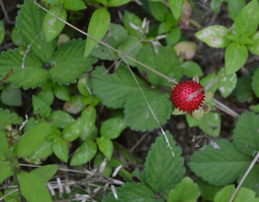 2012.6.3Ů̶191.jpg