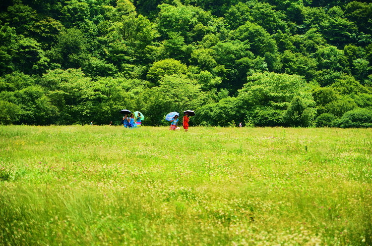 dsc_1351.jpg