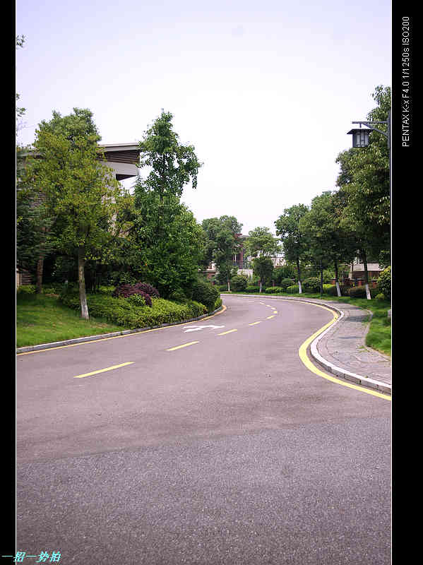 imgp9487.jpg