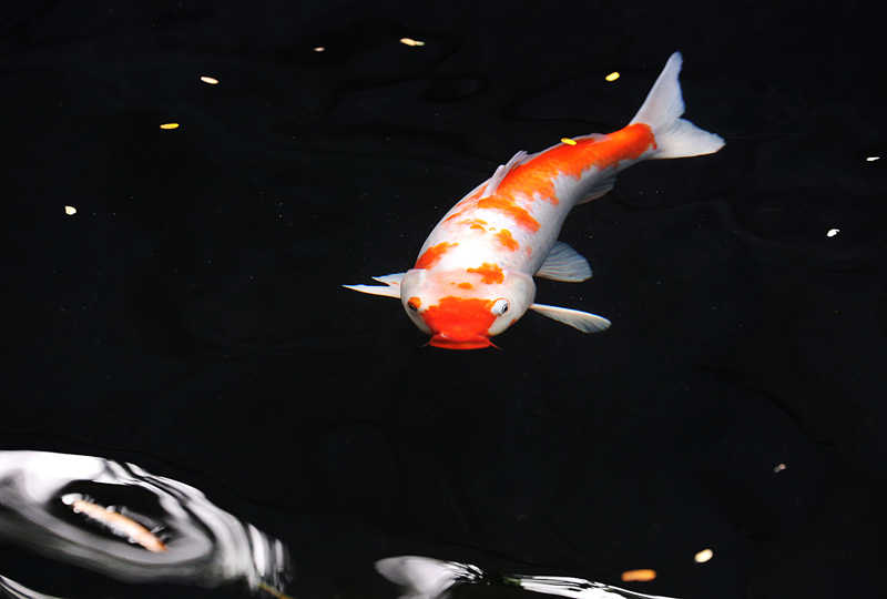 6u0b5359.jpg