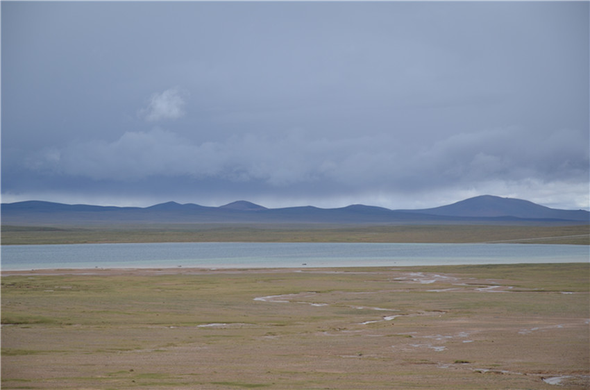 dsc_1352_.jpg
