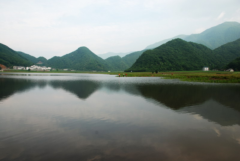 dsc_0133.jpg