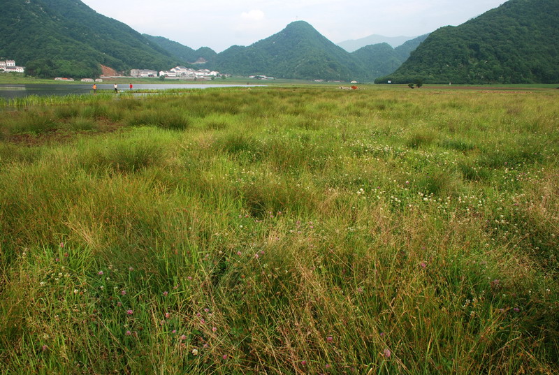 dsc_0135.jpg