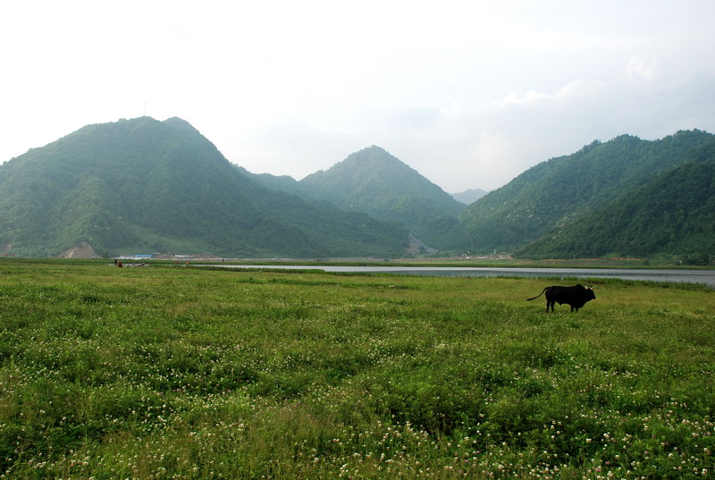 dsc_0177.jpg