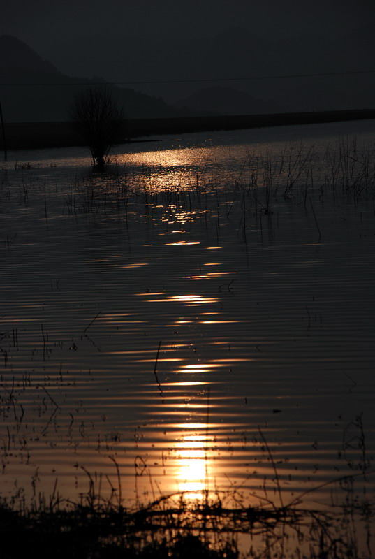 dsc_0315.jpg