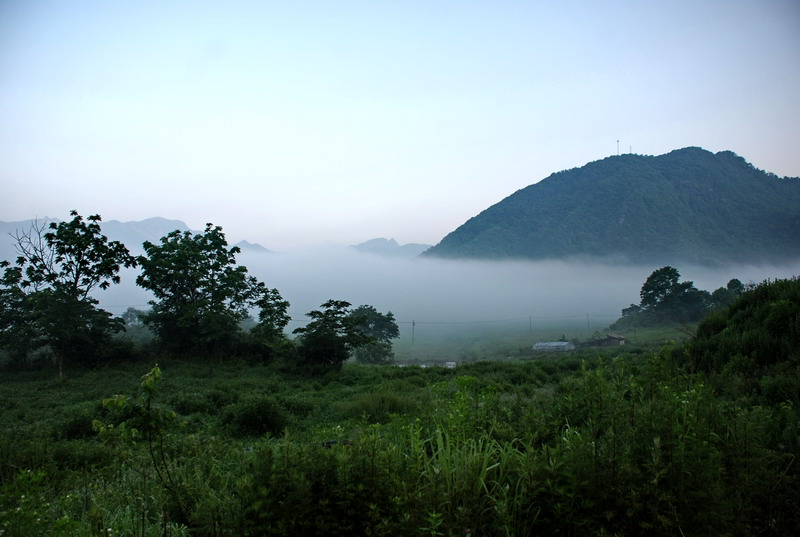 dsc_0361.jpg