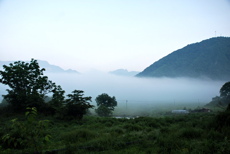 dsc_0363.jpg