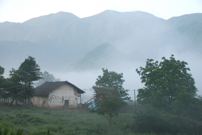 dsc_0370.jpg