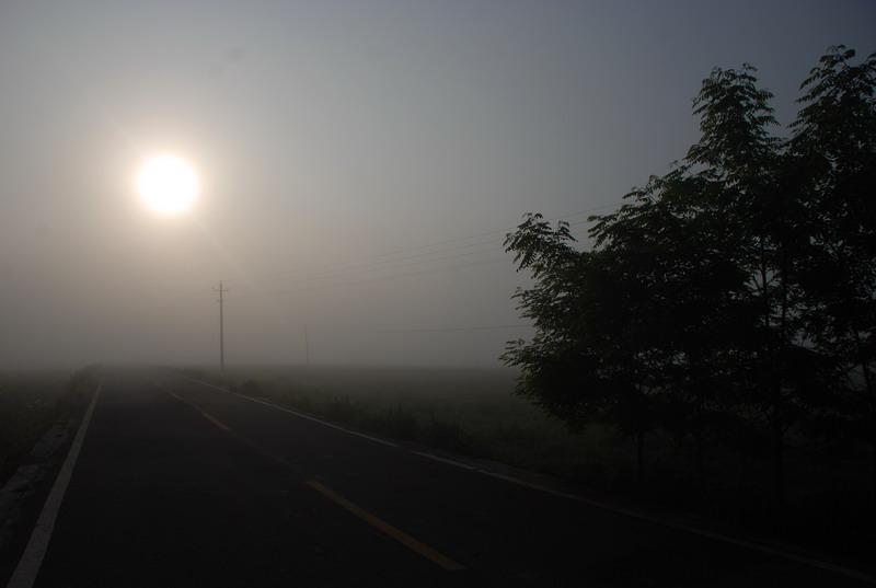 dsc_0425.jpg
