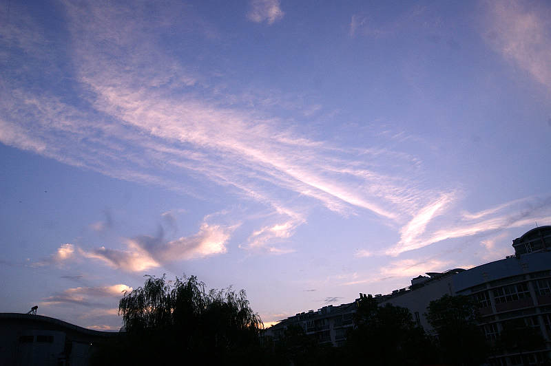 dsc02683.jpg