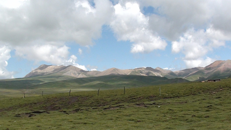 dsc00346_.jpg