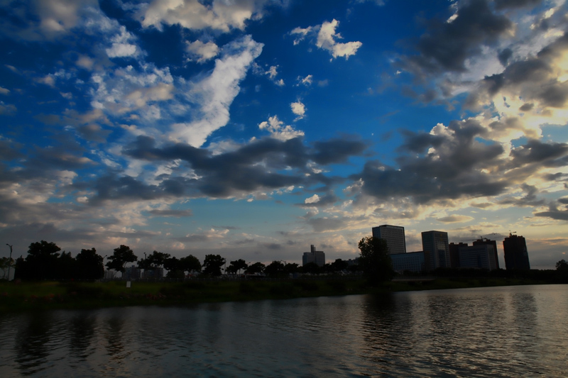 img_9711-------f1.jpg