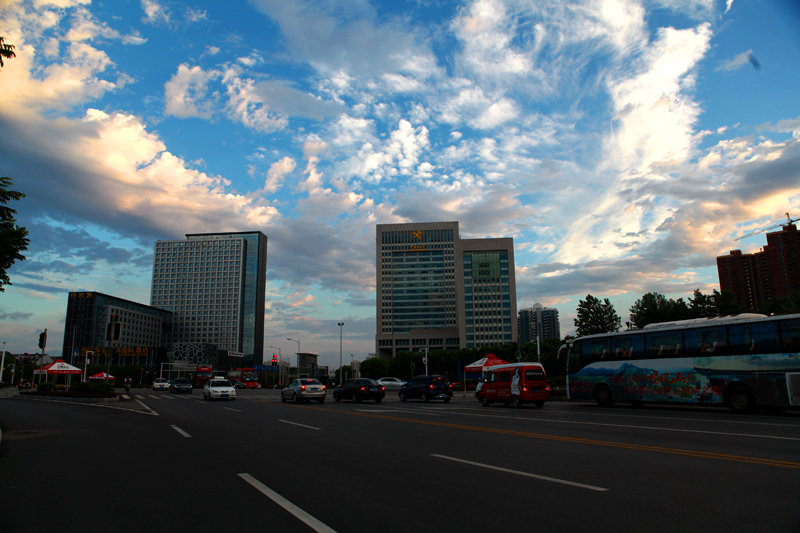 img_9724-------f.jpg