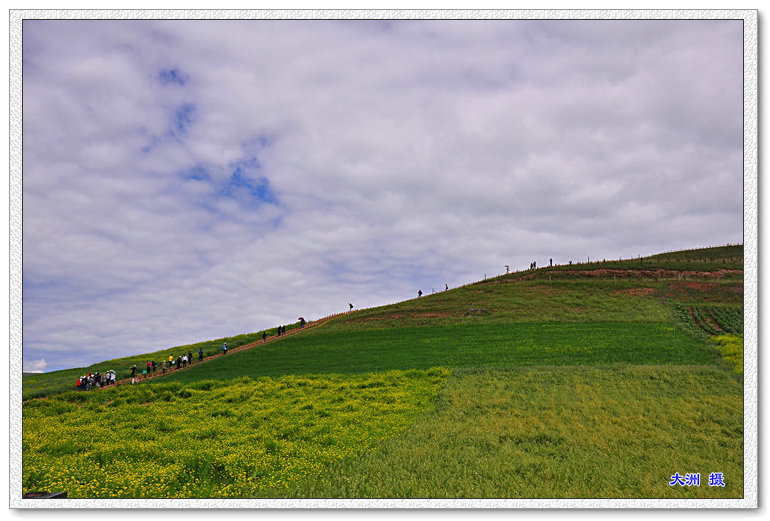 dsc_1509.jpg