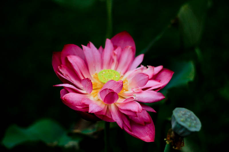 img_7419_СС.jpg