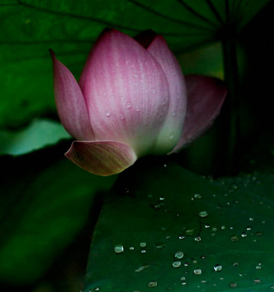 img_9089_СС.jpg