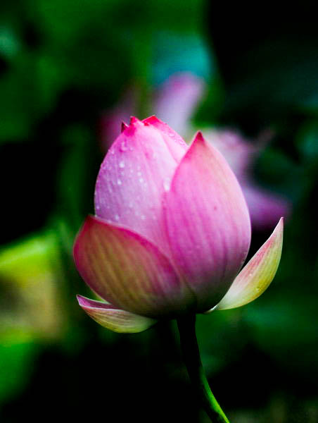 img_9047_СС.jpg