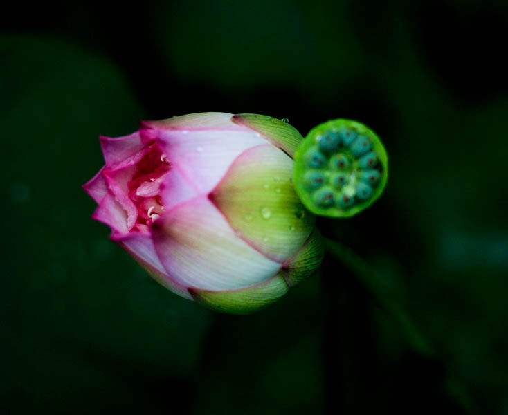 img_9109_СС.jpg