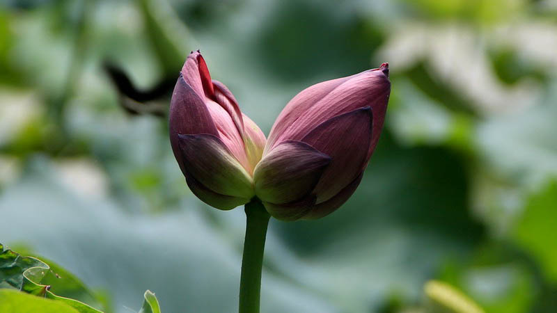img_6426_СС.jpg