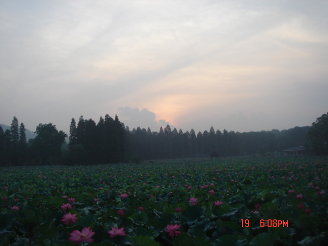 dsc02372.jpg