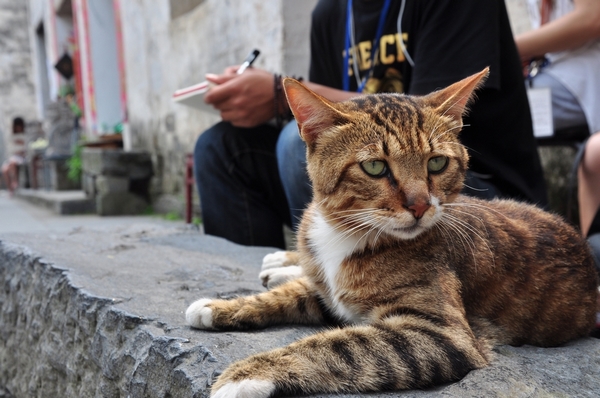 dsc_1155.jpg