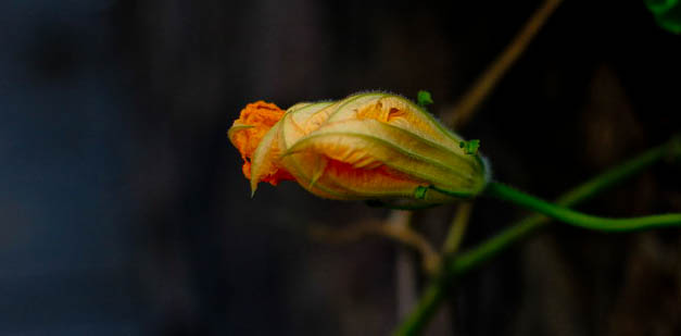 img_9618_СС.jpg