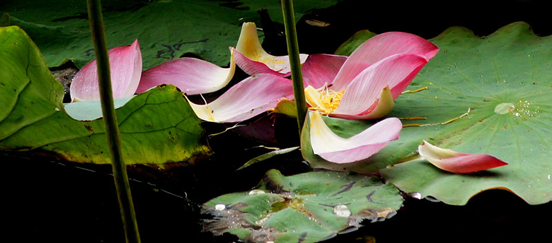 dsc06082_.jpg