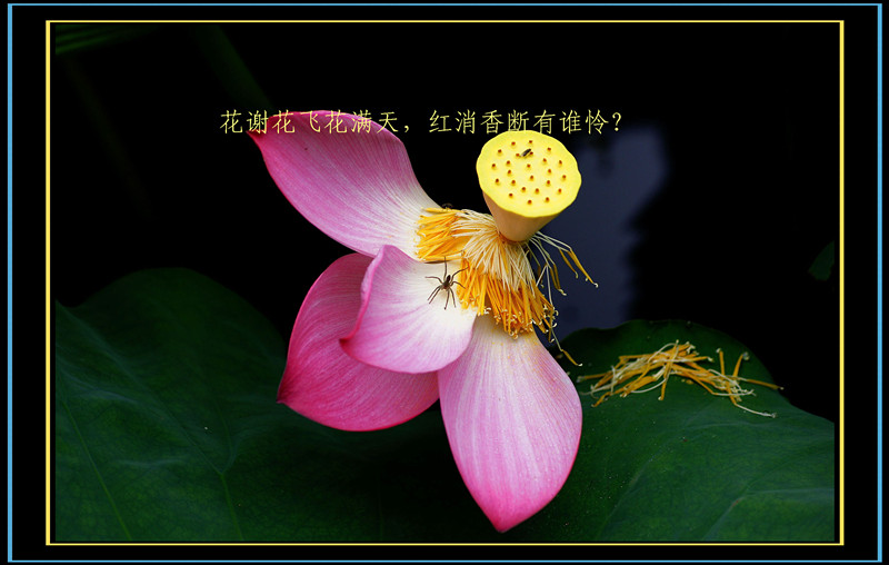 dsc06087_.jpg