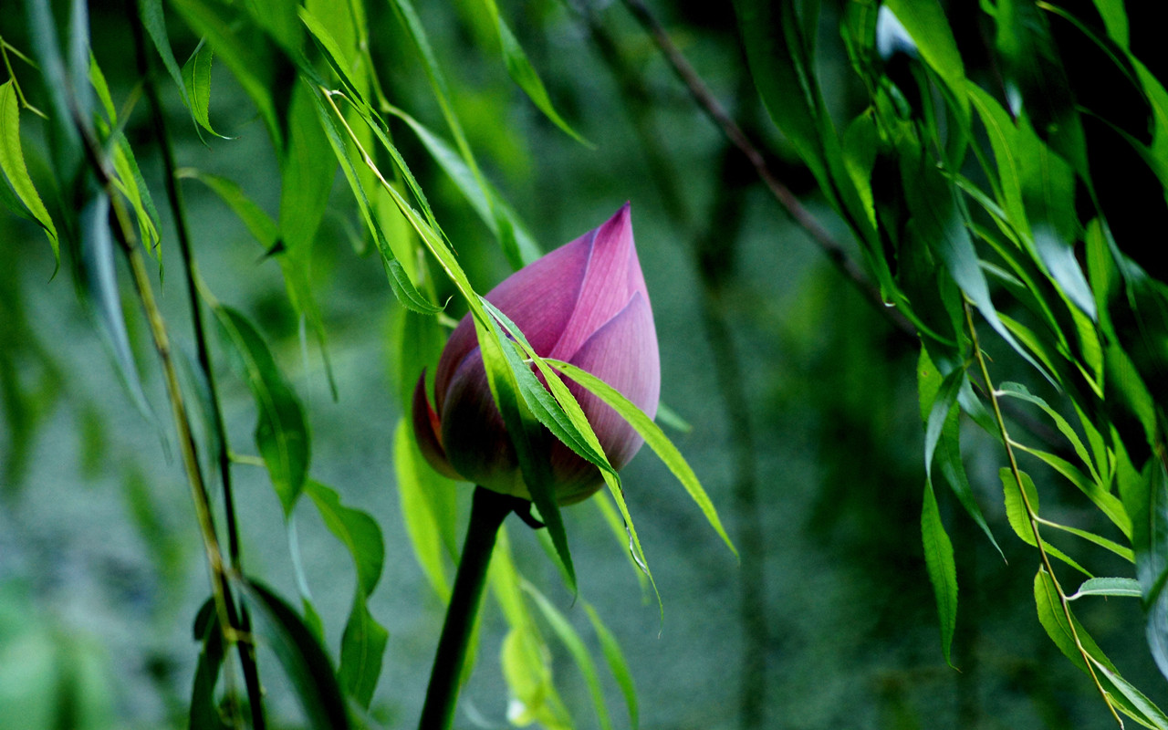 dsc05699_.jpg