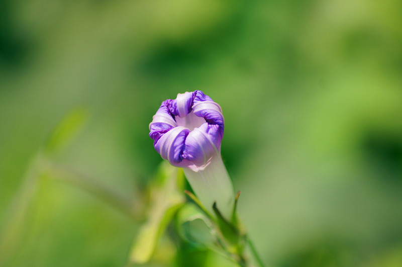 dsc05854___.jpg