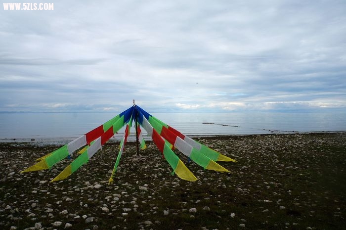 nEO_IMG_DSC00921.jpg