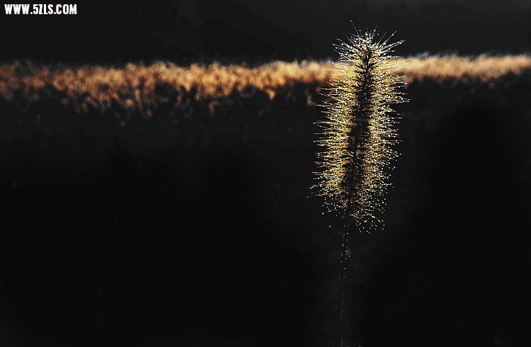 ĩҵ 106_.jpg