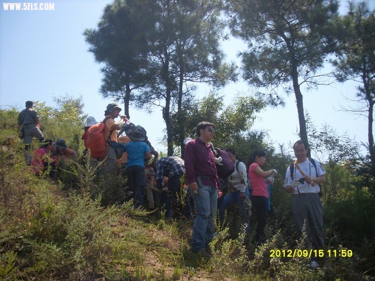 SL389579.JPG