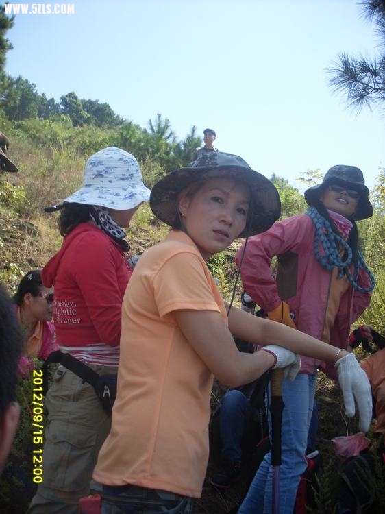 SL389585.JPG