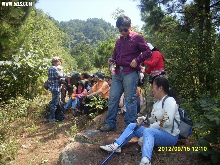 SL389591.JPG