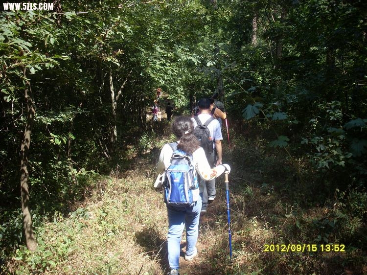 SL389616.JPG