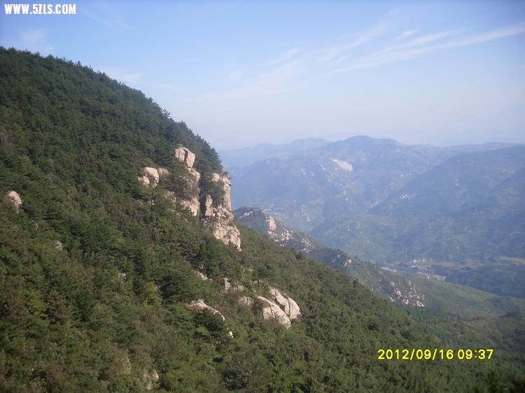 SL389749.JPG