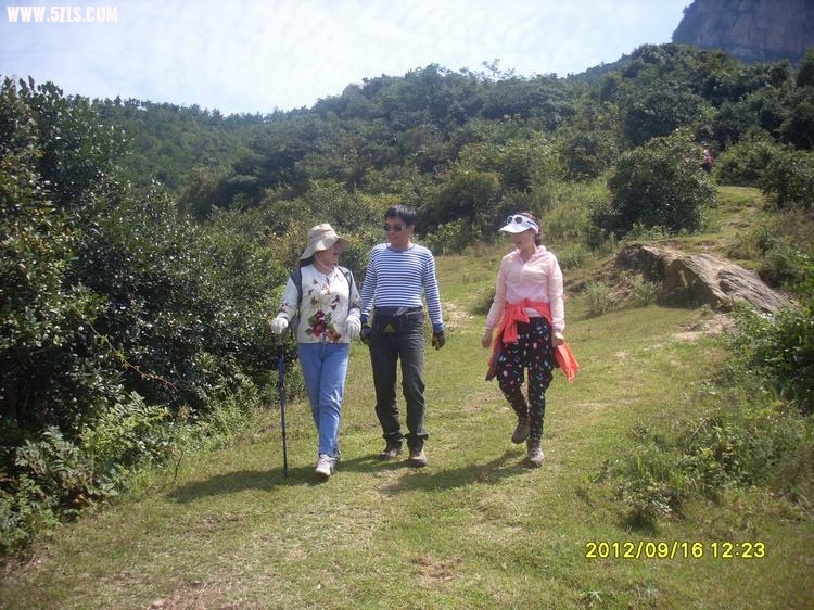 SL389826.JPG