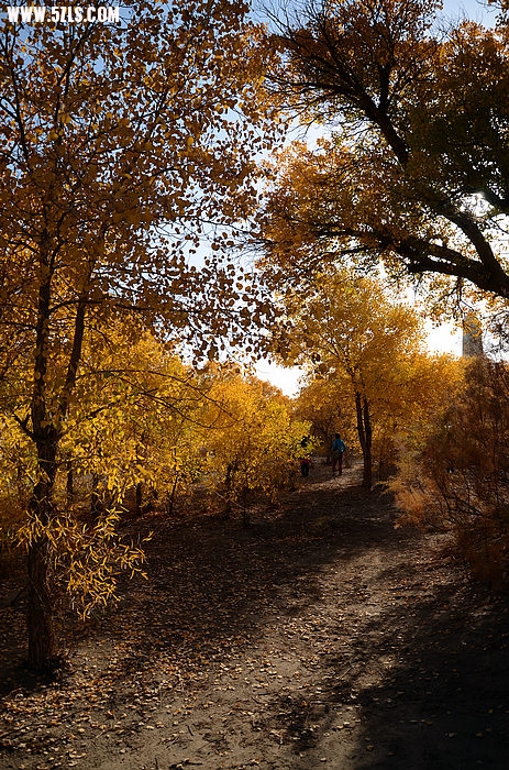 DSC_0250.JPG