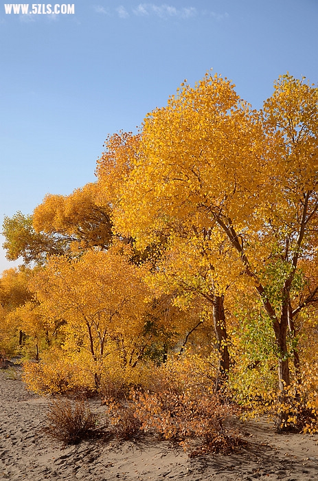 DSC_0262.JPG