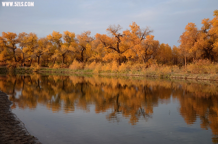 DSC_0340.JPG