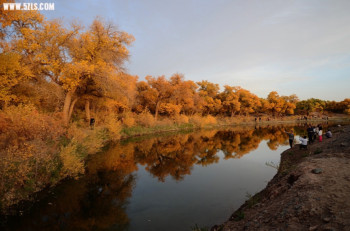 DSC_0348.JPG