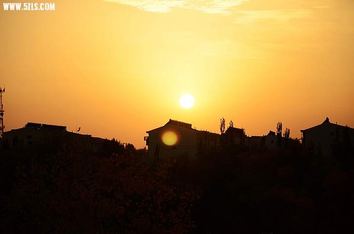 DSC_0350.JPG