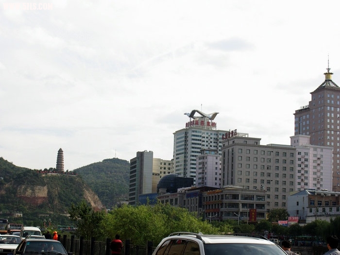 IMGP5164.jpg