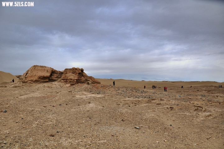 DSC_4649_1.jpg
