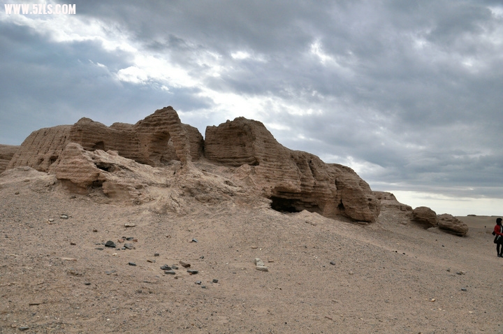 DSC_4726.jpg